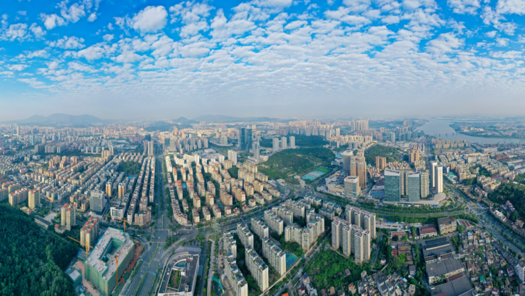 陈岸明到台山市检查督导灾后...
