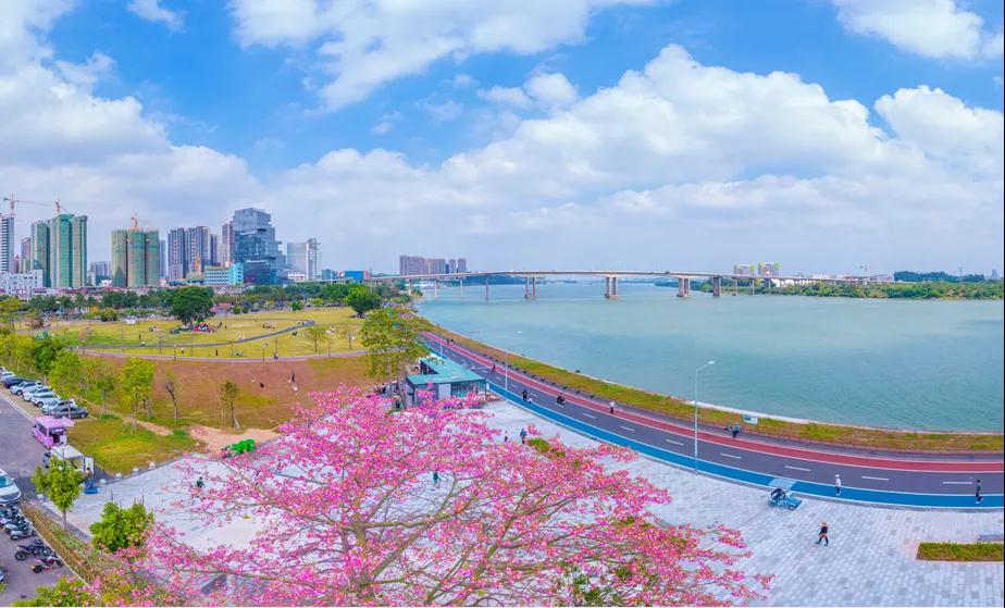 全市传达学习贯彻党的二十届...